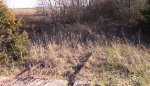 Abandoned UP Rend Lake coal mine line